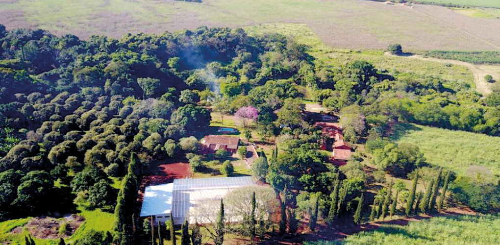 Fazenda onde nasceu escritora de Sinhá Moça será aberta para eventos