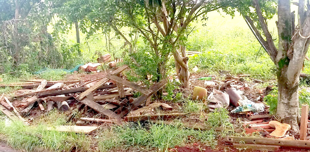 Prefeitura realiza limpeza na área verde do Morro Azul