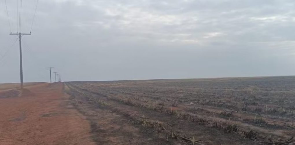 Defesa Civil emite alerta de baixa umidade e riscos de incêndio