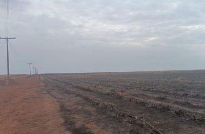 Defesa Civil emite alerta de baixa umidade e riscos de incêndio